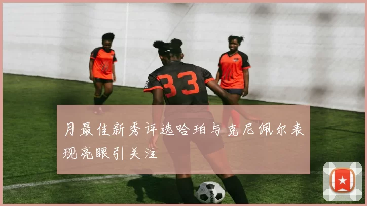 月最佳新秀评选哈珀与克尼佩尔表现亮眼引关注