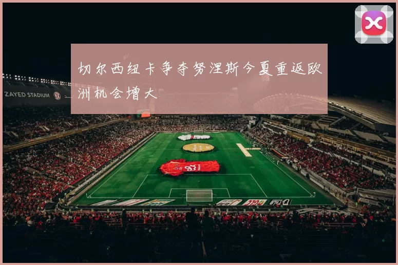 切尔西纽卡争夺努涅斯今夏重返欧洲机会增大